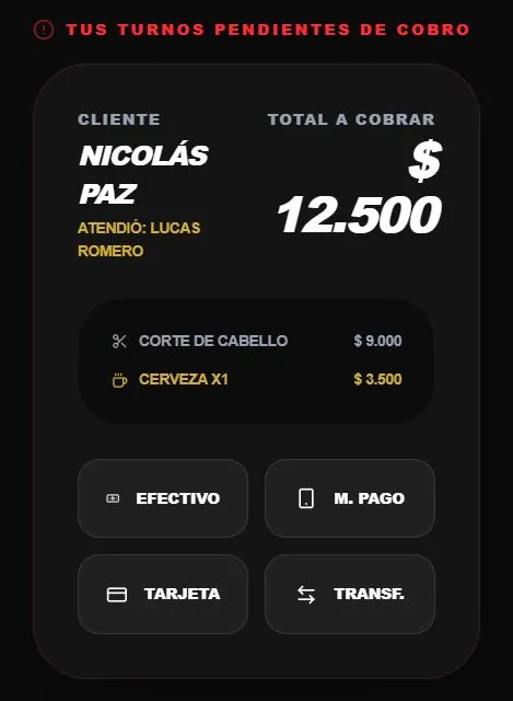 Resumen de caja del profesional